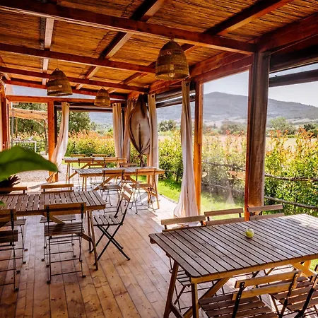 Giu Al Pozzo Gavorrano