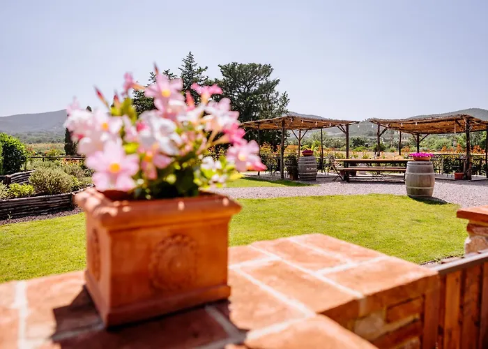 Giu Al Pozzo Gavorrano